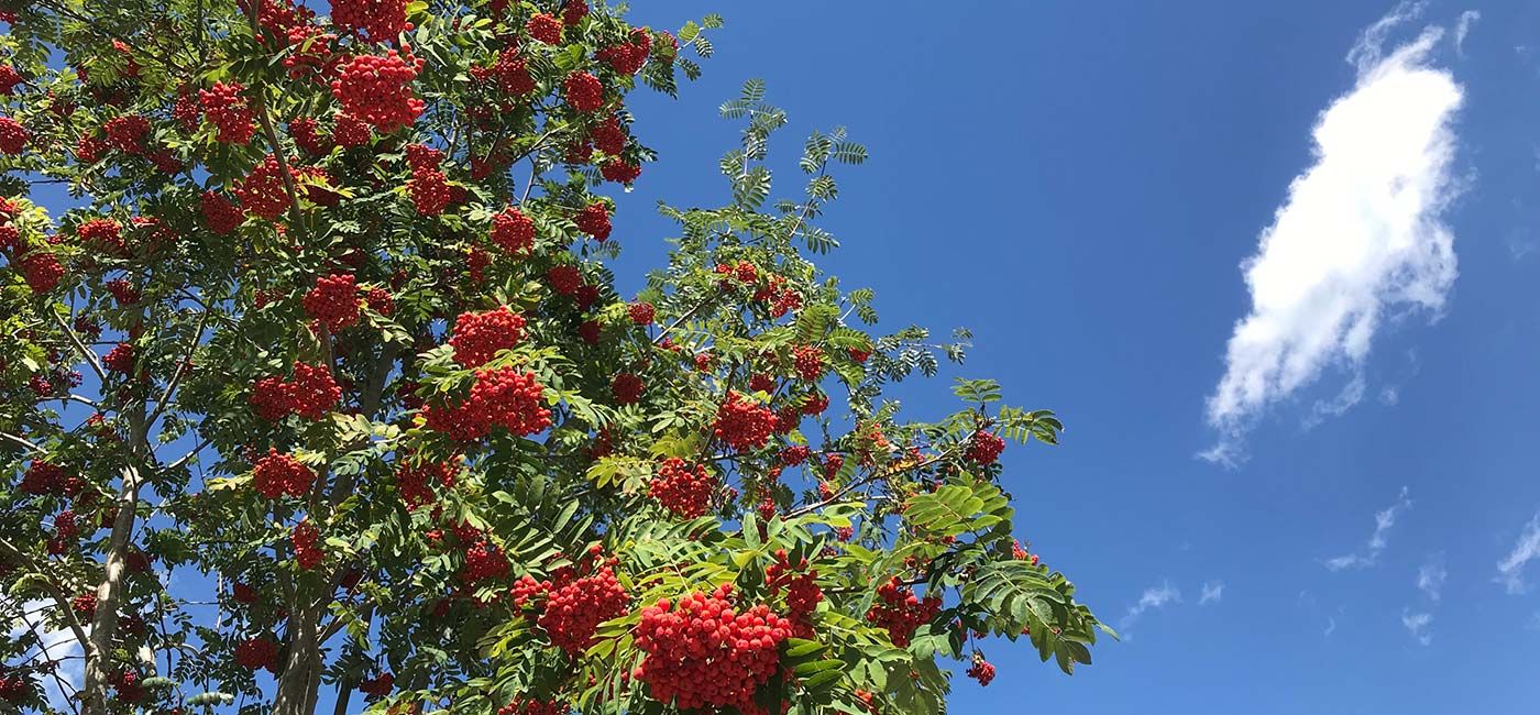 SinnBewegt Leben Entdecken Feiern 7. Himmel