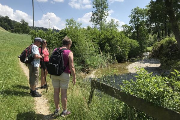 Tritt fassen mit Wander-Coaching