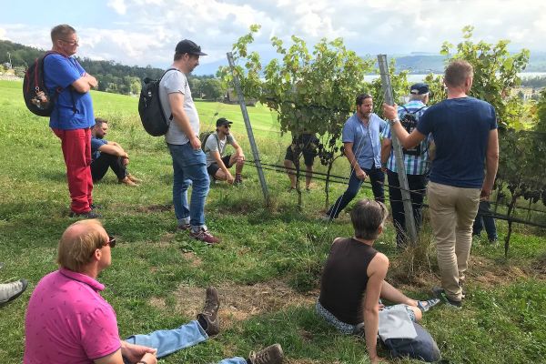 Weinbergwanderung sinnbewegt anders